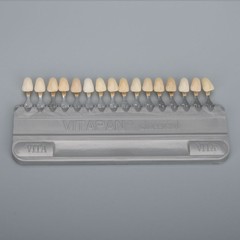 VITA Classical Shade Guide A1-D4 16 Colours VITAPAN Colorimetric Plate
