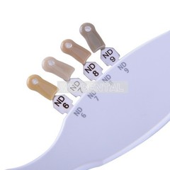 Dental IPS Natural Die Material Shade Guide Ivoclar Vivadent ND1-9 Abutment 1set