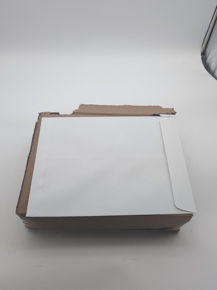 Blue Summit Supplies 100 Envelopes 9 X 12 Security Catalog White Self Seal