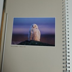 New: Images of Nature Address Book, Featuring Photos by Thomas Mangelsen