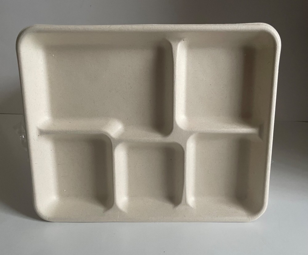 100/400 – 5 Compartment Disposable Lunch Tray Plate 10″ x 8″ BBQ, School Sturdy