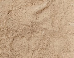 Saponin, Quillaja Extract Powder, 100%, 25g