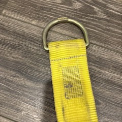 Strap Guardian 12 Ft Cross-Arm HD Strap D-Rings Lanyard PPE