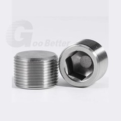 Stainless Steel Internal Hex Male Blanking Plug with BSPP, BSPT and NPT Threads