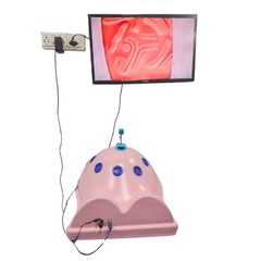 Laparoscopic Body Shape Endotrainer Training Practice Kit Simulator CE Approved