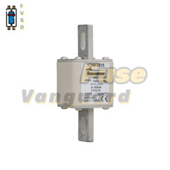 1PC Eaton BUSSMANN 170M3619 400A 690V Fuse