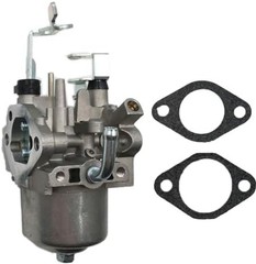 LIZAPUS Carburetor Compatible with Coleman Powermate Generator 5000 6250W PM0…