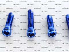 2.7mm Locking Self Tapping Screw 10-28mm Length w/ Drive 100 Pcs Titanium Set