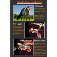 Animal Visual Insemination Rotatable HD Screen Photo Record Artificial GRQA