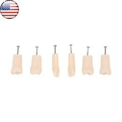 Kilgore Nissin 200 Type Dental 32pc Typodont Model Removable Teeth Mounting Pole