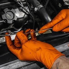 SAS Safety, Astro-Grip Orange Disposable Nitrile Glove 40 PK, Size L, Color
