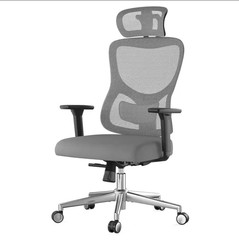 Ergonomic Mesh Office/Desk Chair w/ Adjustable Headrest & Lumbar, Gray/Black