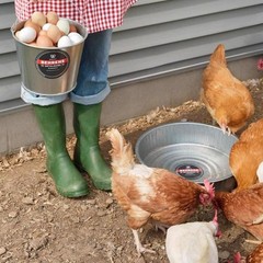 Behrens 2168 Galvanized Seamless Stock Feeder Pan for Livestock 3 gal.