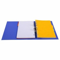 Exacompta A4 Perm Touch PVC Lever Arch File 2 Rings 70mm Spine 23 Colours