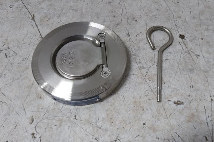 Champion 3SDS15-SSP-R 3 In Pipe Size Flange Connection Check Valve
