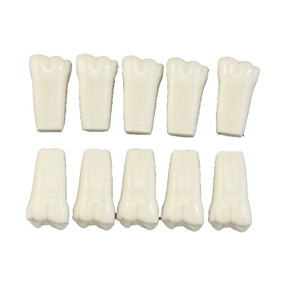 IVORINE TEETH FOR TYPODONT 860 – 5 OR 10 PACK OF SINGLE TOOTH #