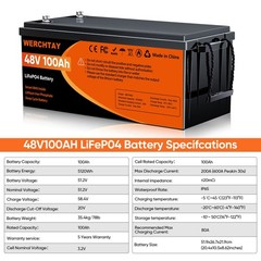48V 100Ah Lithium LiFePO4 Battery Deep Cycles BMS For RV Sloar Golf Carts