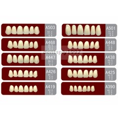 16sets Dental Acrylic Resin Upper Anterior False Teeth Two Layer 20HD Denture