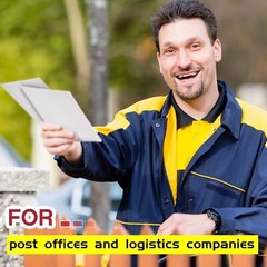 25-1000pcs 6.5 x 4.5 White Rigid Photo Shipping Flats Cardboard Envelope Mailers