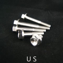 Gr5 Titanium Flange Head Bolts Fastener Hex M6 M8 15 20 25 30 35 40 45 50 55 60