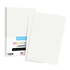 Stardust White Bright Color Cardstock, 65lb Cover (176GSM), 11 x 17, 50 Sheets