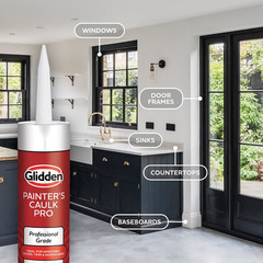 (4 Pack) 10.1 Fl Oz Painter’S Multi-Purpose Interior/Exterior Caulk Pro, Clear