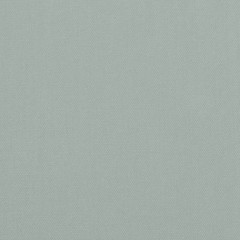 Pet Bike Trailer Gray Oxford Fabric and Iron