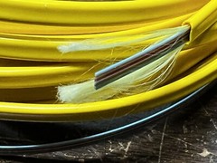SMF Fiberoptic Ribbon Cable 20ft, 12 fiber Ribbon Single Mode Optical Fiber