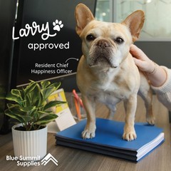 10 Blue Classification Folders with Dividers – Employee Personnel File Folder…