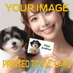 Custom Printed PVC Card Name Badge Printed PVC Plastic Credit Card Sized