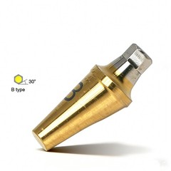 Hiossen ET 17° degree implant Angulated Ti Anatomic Abutment Dental Mini/Regular