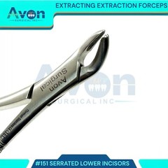 DENTAL TOOTH EXTRACTING FORCEPS #151 WITH SERRATED JAW DENTAL INSTRUMENT GERMAN