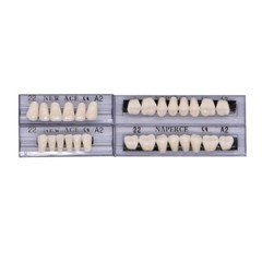 168Pcs Acrylic Resin Denture #22 Dental Upper Lower Shade A2 Teeth Set HOT