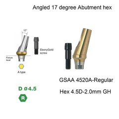 US Dental Angulated Abutment 17° W/screw Inter Hex Regular 2.5mm Dentist Lab A/B