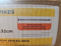 PRO-FIT8 in. 50 lbs. Hot Dipped Galvanized Common SpikeNail (200-Count)