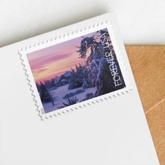 United States Postal Service Winter Landscapes 2025 5 Books Of 20 First-Class