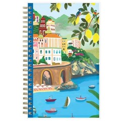 Weekly/Monthly Planner 15 Month Wirebound 5"x8" Clear Multi Cover
