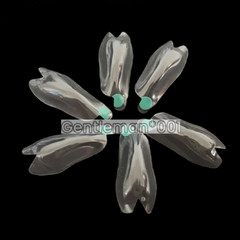 Dental Anterior Distal Matrix Clear BT Matrice Maxillary Matrices Contoured W2
