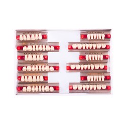 Dental Resin Teeth Synthetic Acrylic False Teeth Big Size Shape A1 A2 A3