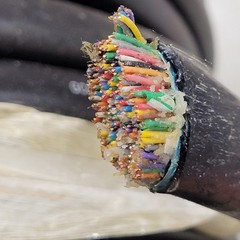 PRICER PER FOOT – General Cable 010-2000 100-Pair 24AWG Colorful Copper Wire