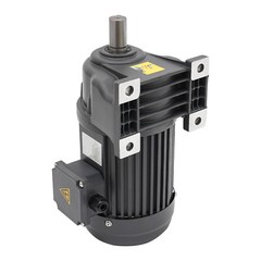 1HP Electric Gear Motor 1:30 Reduction Gear Motor AC Three-phase Horizontal 750W