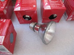 General Electric CG201AK1 PAR20 50W Halogen Narrow Floodlight Bulb