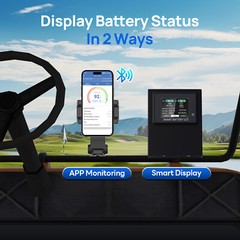 48V 100Ah LiFePO4 Golf Cart Battery 18A Charger Bluetooth Monitor Metal Case