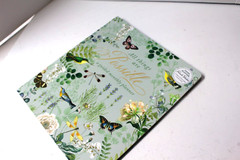 Punch Studio Nature’s Grace Butterflies Guided Planner 9.5″ x 11″ 96 pgs NEW