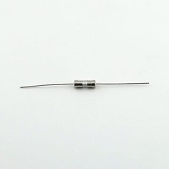 10pcs Glass Tube Fuse Axial Leads 3.6 x 10mm 1A 1Amps Fast Quick Blow 250V