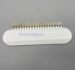 Ivoclar Vivadent Dental Shade Guide A-D 20 IPS or Natural Die ND1-9 Bleach Teeth