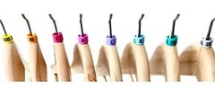 (NEW) 100 Colored Hanger Sizer Garment Markers XXS-3XL Plastic Size Marker Tags