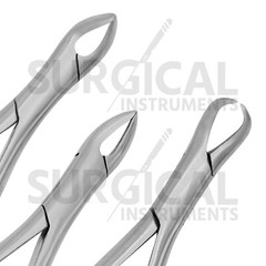 Set of 10 Extracting Forceps Dental Extraction Instruments German Grade