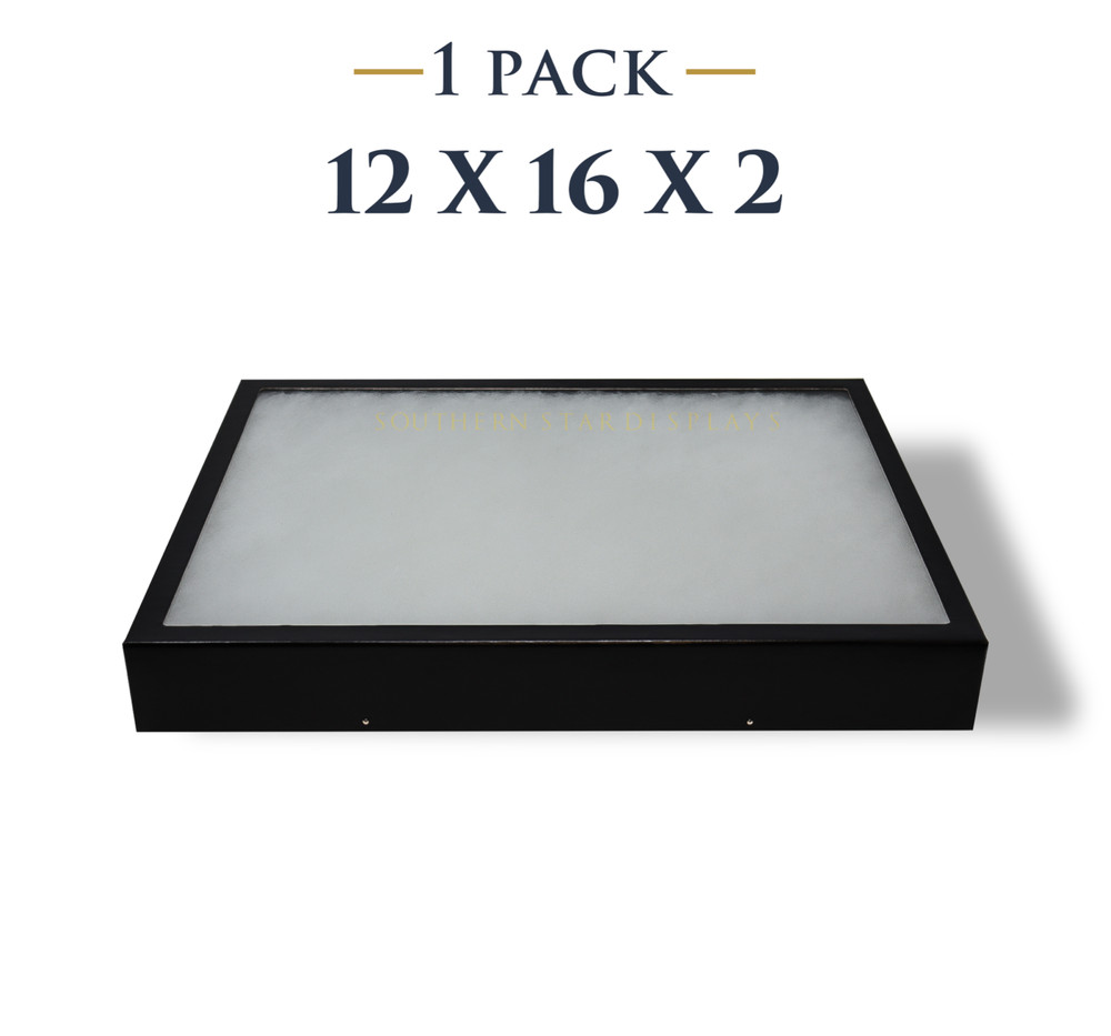 12 x 16 x 2 Riker Display Case Box for Collectibles Jewelry Arrowheads & More