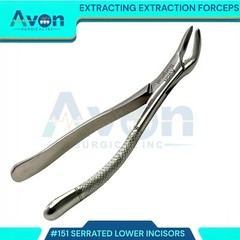 DENTAL TOOTH EXTRACTING FORCEPS #151 WITH SERRATED JAW DENTAL INSTRUMENT GERMAN